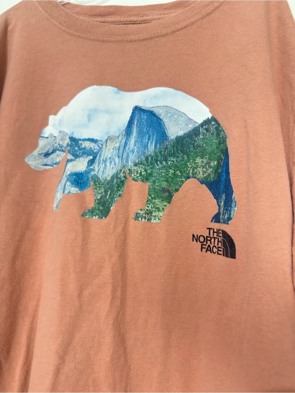 The North Face Bear Graphic T-Shirt - Dusty Rose